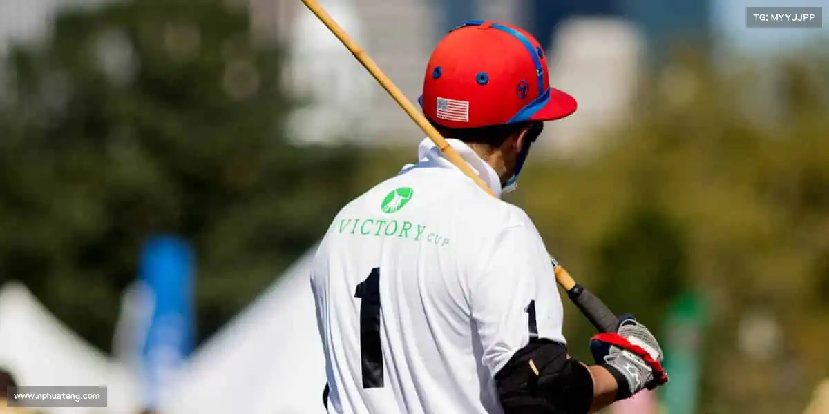 行业领先的理由